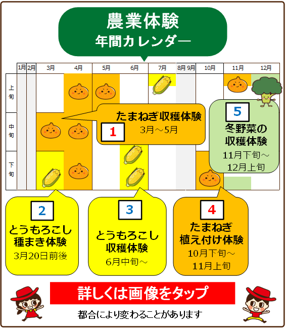 終了しました】 団体様専用 『とうもろこし収穫体験』詳細ページ （2024年度） | 農業体験 | 静岡県浜松市の野菜直売所「あったか農場」